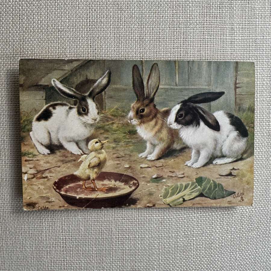 Cards/Postcards