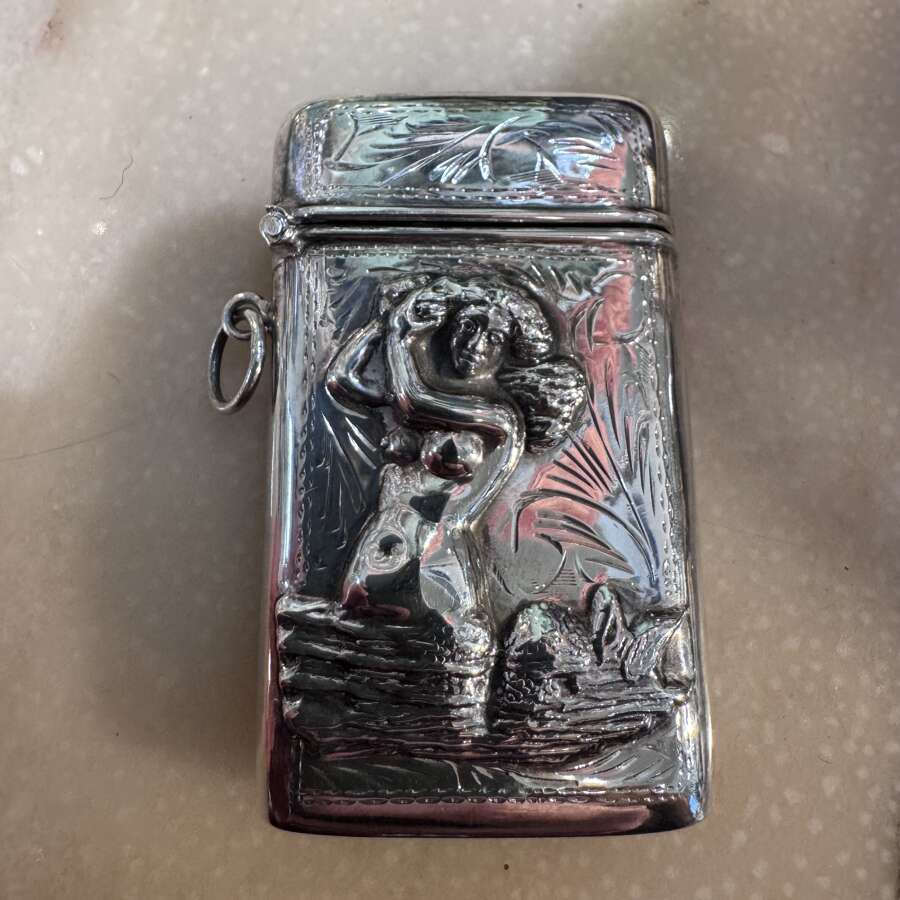 Silver vesta cases