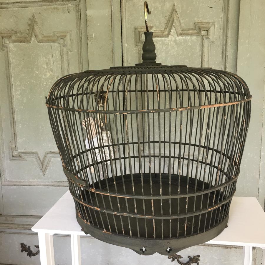 Vintage green birdcage