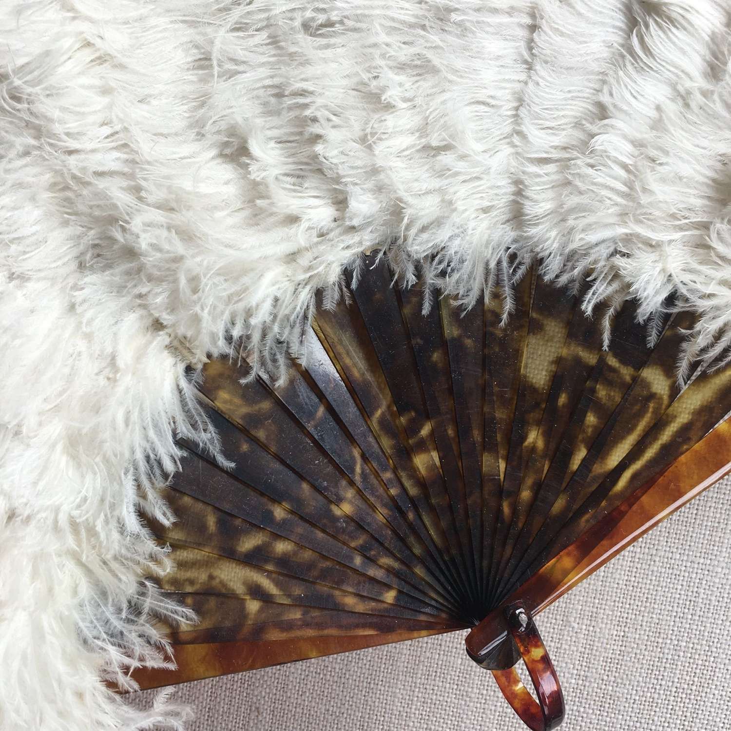Ostrich feather and tortoiseshell fan