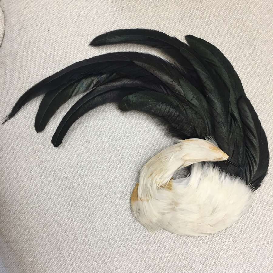Vintage bird feather headpiece