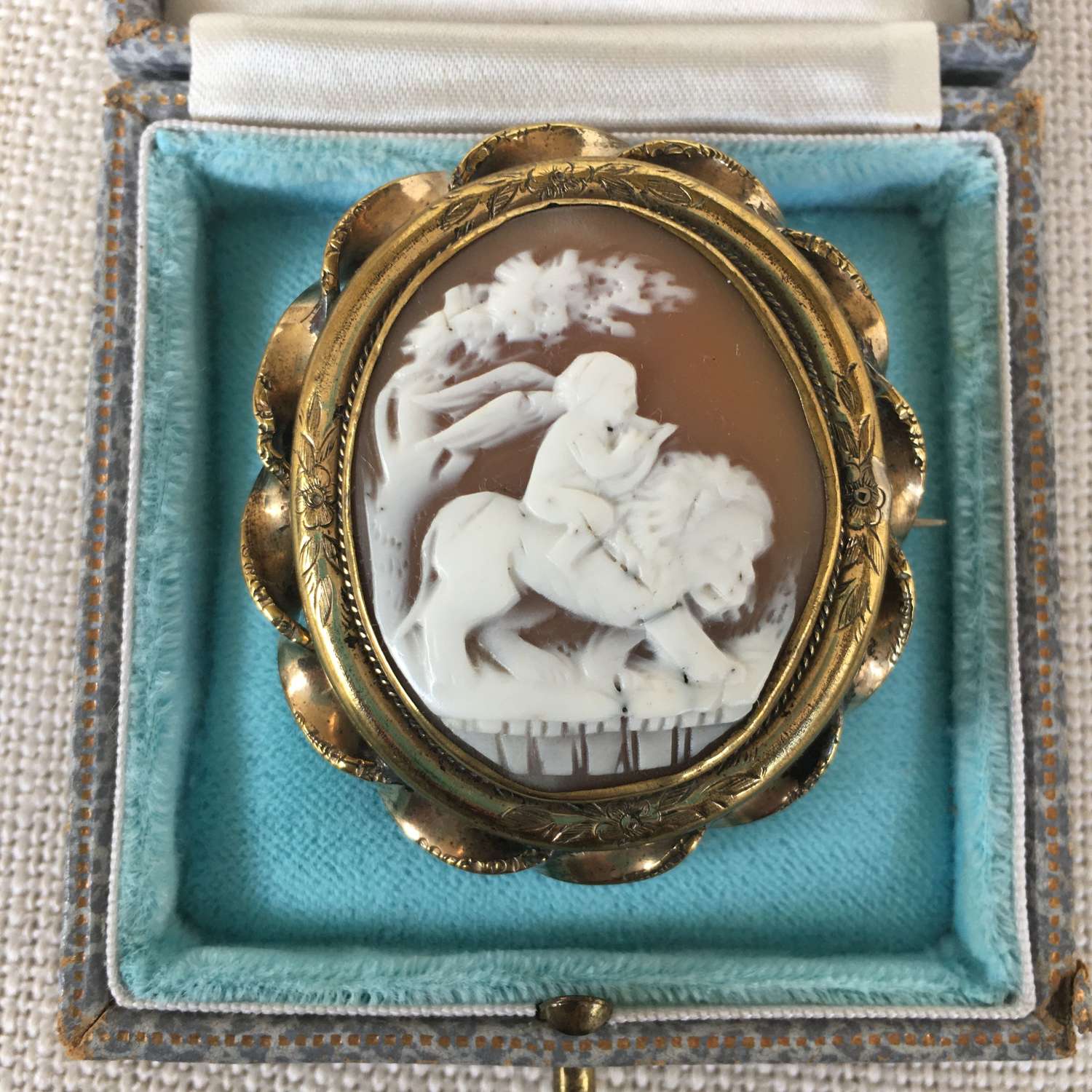 Shell cameo brooch of cherub sitting on lion c 1880