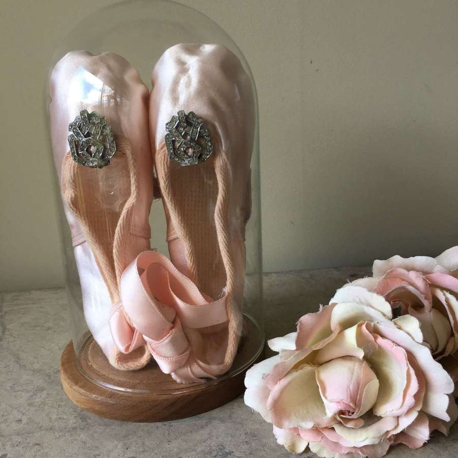 Decorated pale pink satin ballet shoes, beaded wings in dome