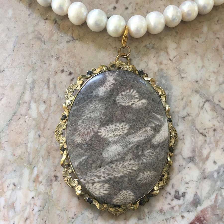 A Victorian fossilised pendant on a freshwater pearl necklace