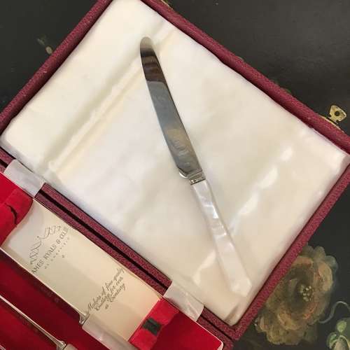 Vintage James Ryals lucite handled stainless boxed knife set