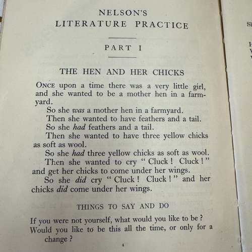 Nelson’s Literature Practice Part I