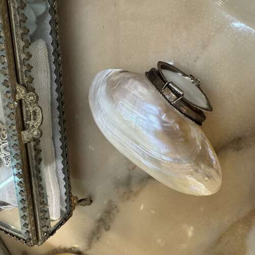 Antique carved shell purse