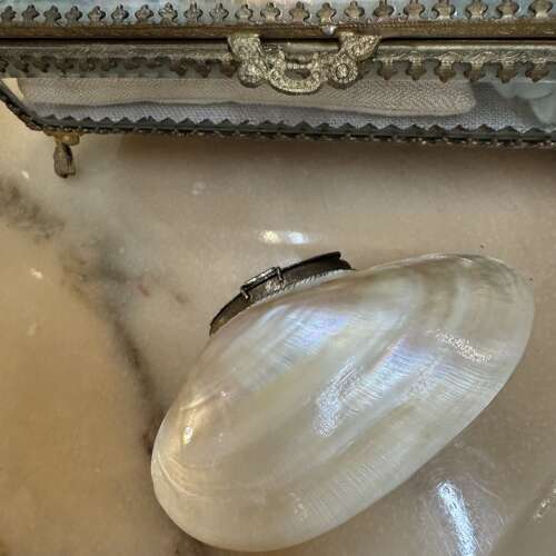 Antique carved shell purse